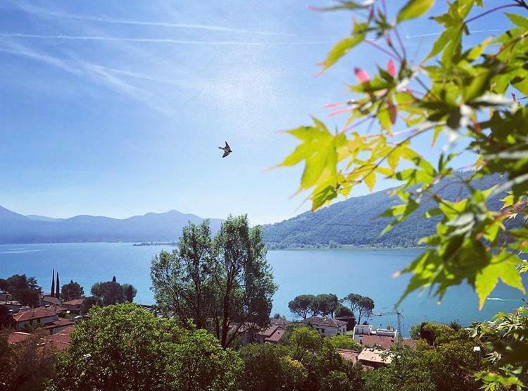 Giuseppe B&B Sarnico Kültér fotó